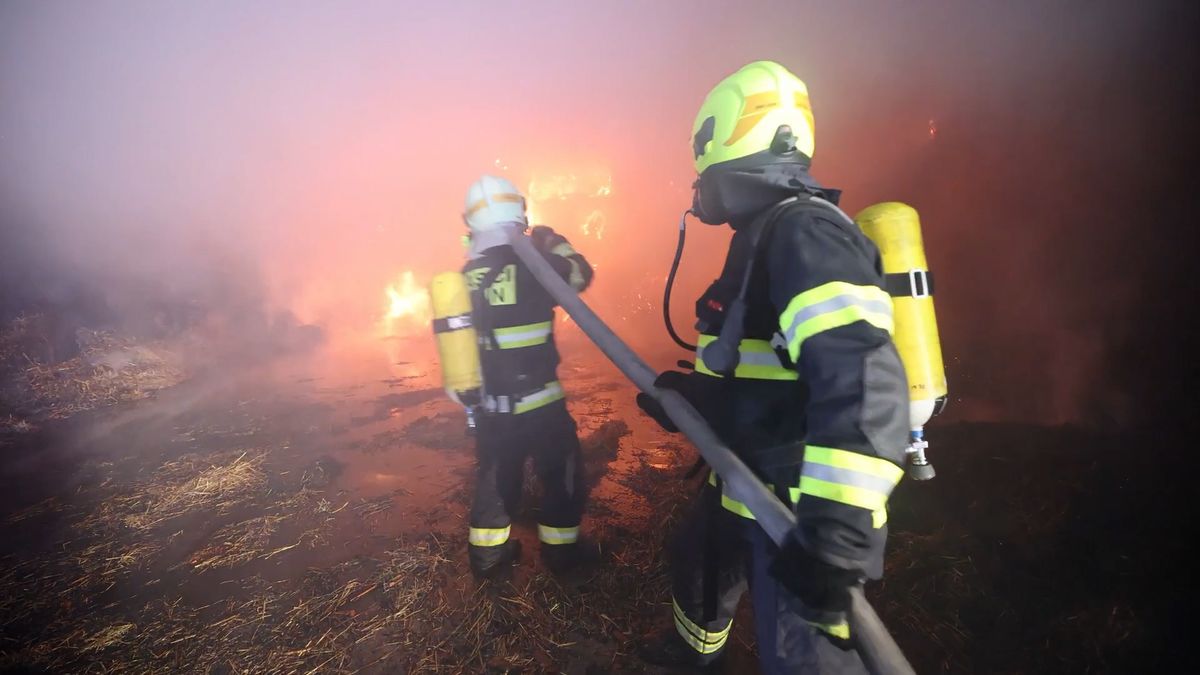 Na Hradecku hoří v zemědělském areálu, vyvedli z něj 80 býků